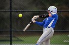 Softball vs Babson  Wheaton College Softball vs Babson College. - Photo by Keith Nordstrom : Wheaton, Softball, Babson, NEWMAC